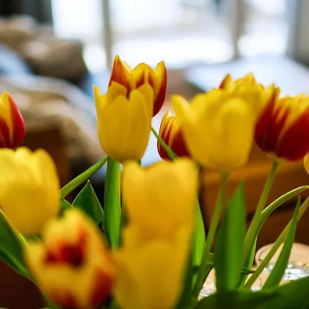 Apartmán Meeresblick Residenzen Ferienwohnung 25 Mit Sauna- Und Schwimmbadnutzung Im Ahoi Sellin *